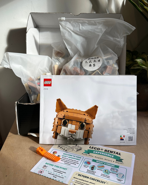 LEGO® 21376 Ideas - Orange Cat